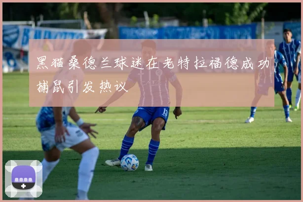 黑猫桑德兰球迷在老特拉福德成功捕鼠引发热议