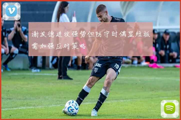 谢泼德进攻强势但防守时偶显短板需加强应对策略