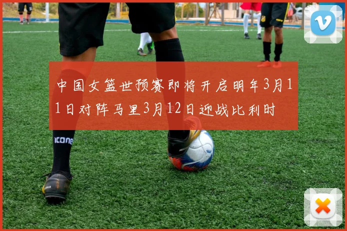 中国女篮世预赛即将开启明年3月11日对阵马里3月12日迎战比利时